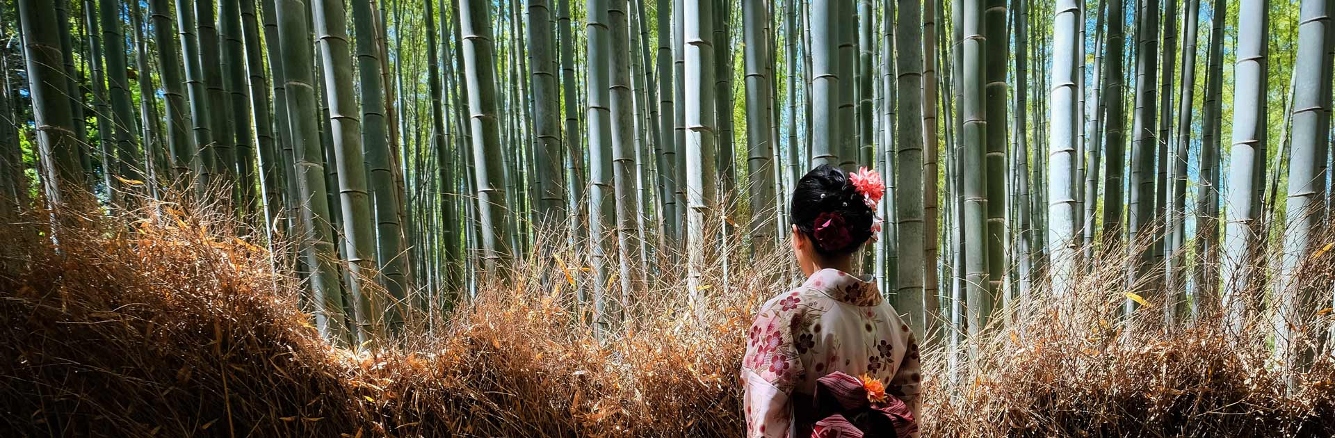 Japón Eterno Y Maldivas 15 Días
