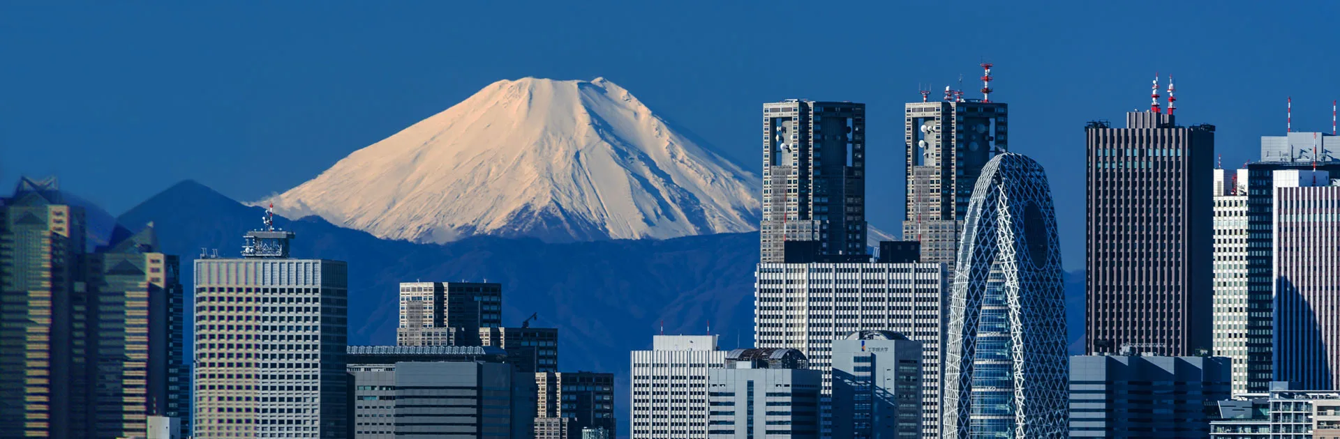 Konnichiwa Japón 8 Días
