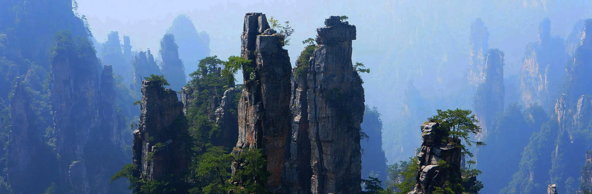 Cn Paisaje De Avatar 14 Días