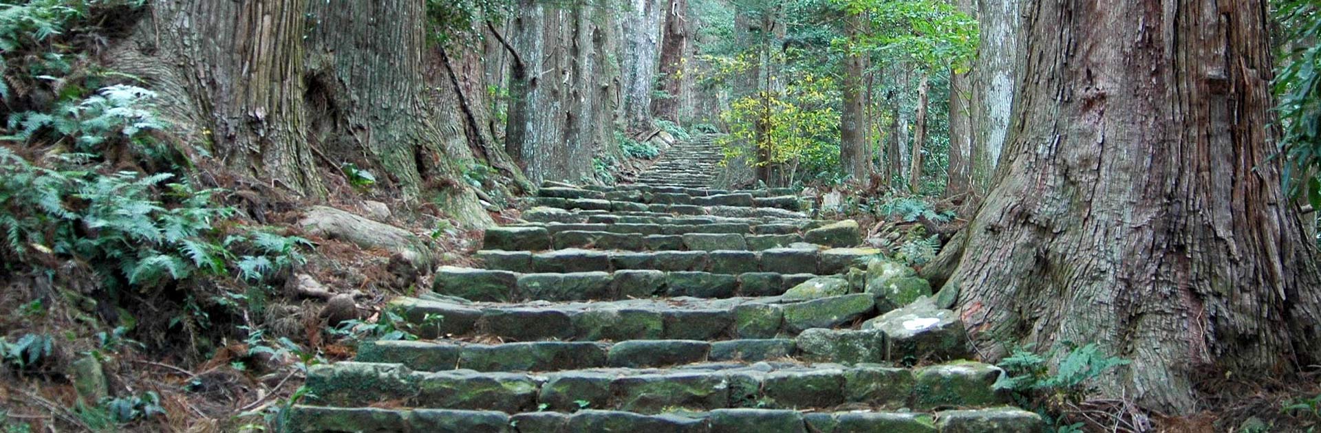 Jp Camino De Kumano Y Monte Koya 12 Días