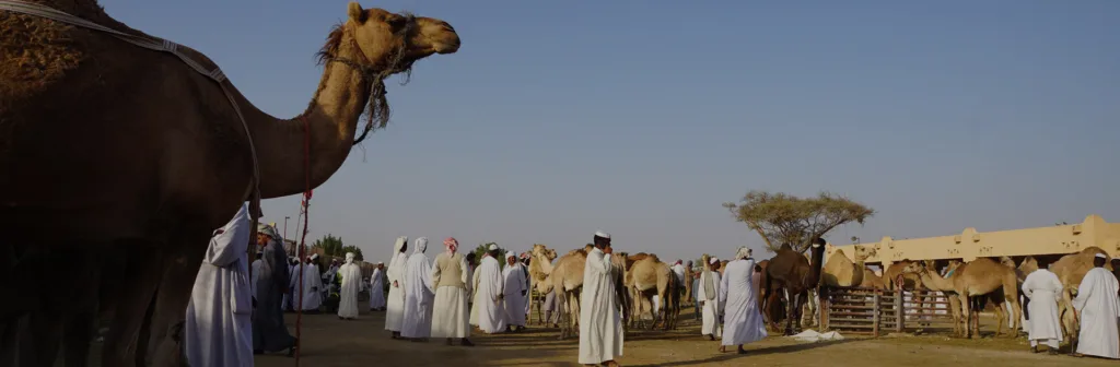 Aeom Viaje Entre Emiratos 8 Días