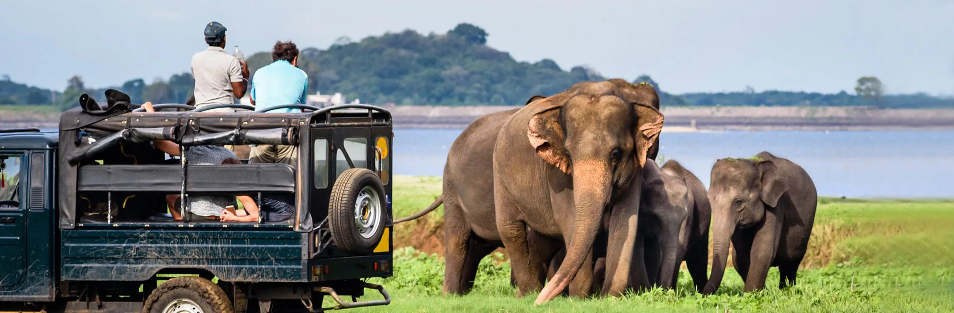 Lk Explore Sri Lanka Con Playas Nordeste 12 Días