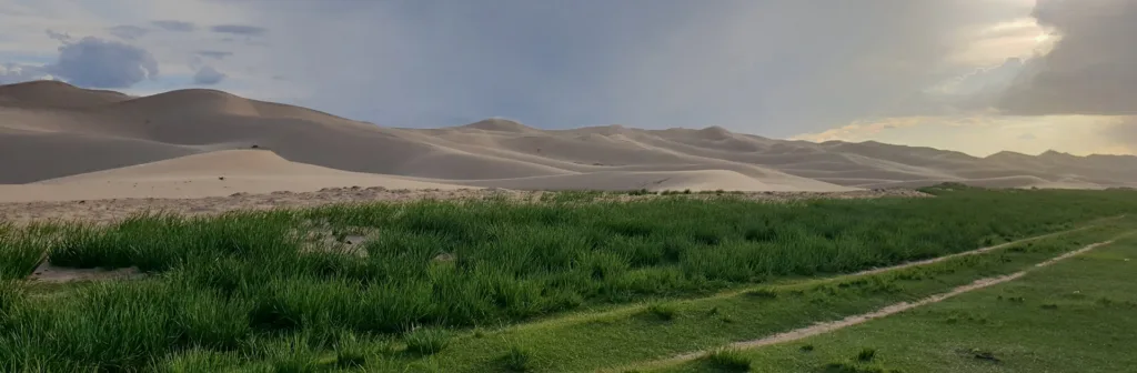 Mn Mongolia Con Festival Naadam 16 Días