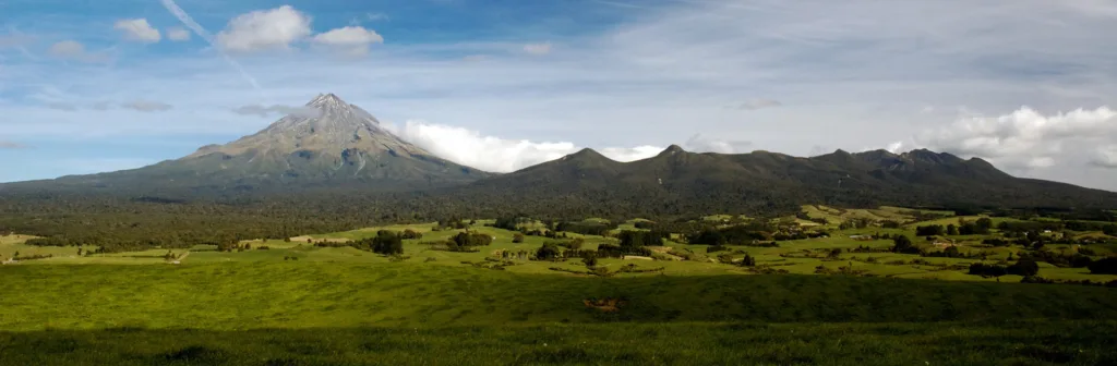Nz La Tierra Media 20 Días