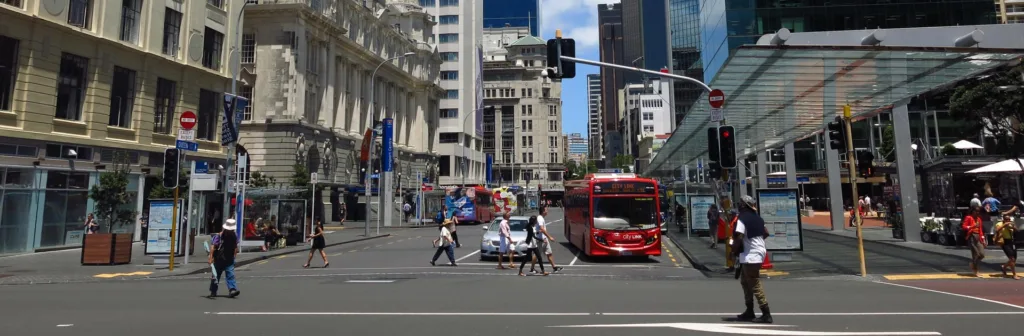 Nz La Tierra Media 20 Días
