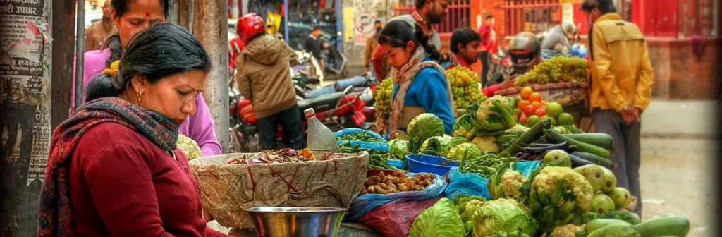 Pr India Nepal 16085950954 9cc141e386 O
