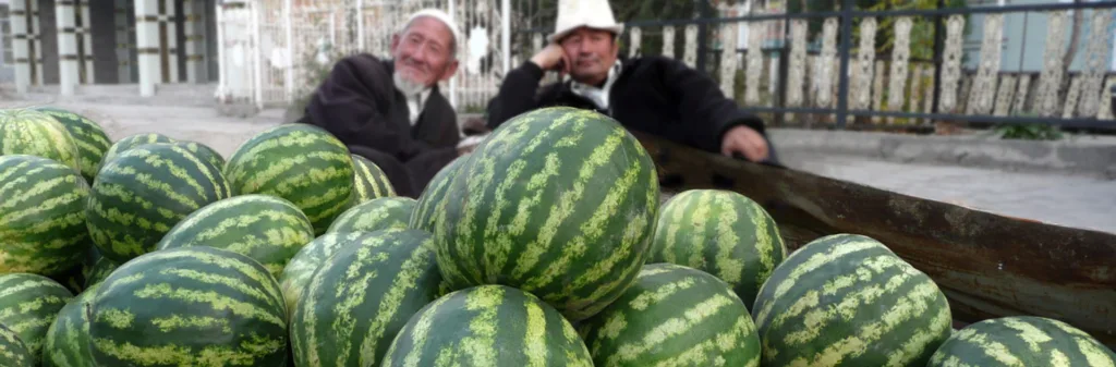 Uz Uzbekistan Por Libre 8 Dias