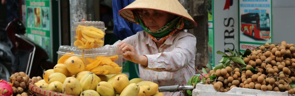 Hanoi Img
