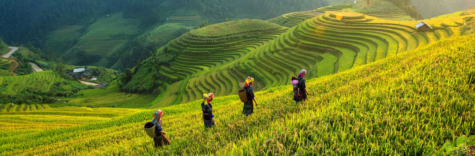 Pr Sapa Dreamstime Xl