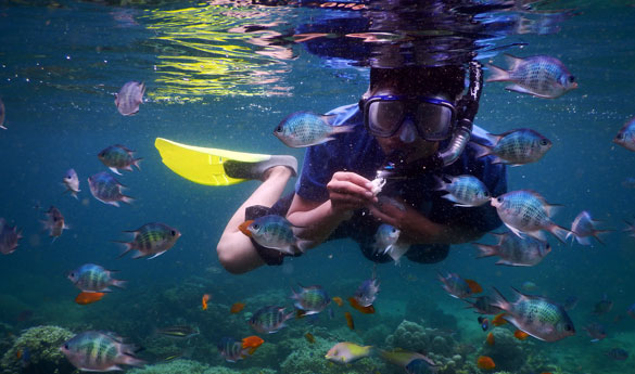 Practicar snorkeling en Bali