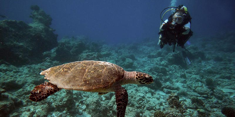 La islaAkirifushi en Maldivas