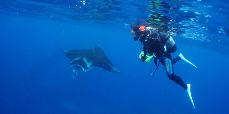 Koh Tao tailandia