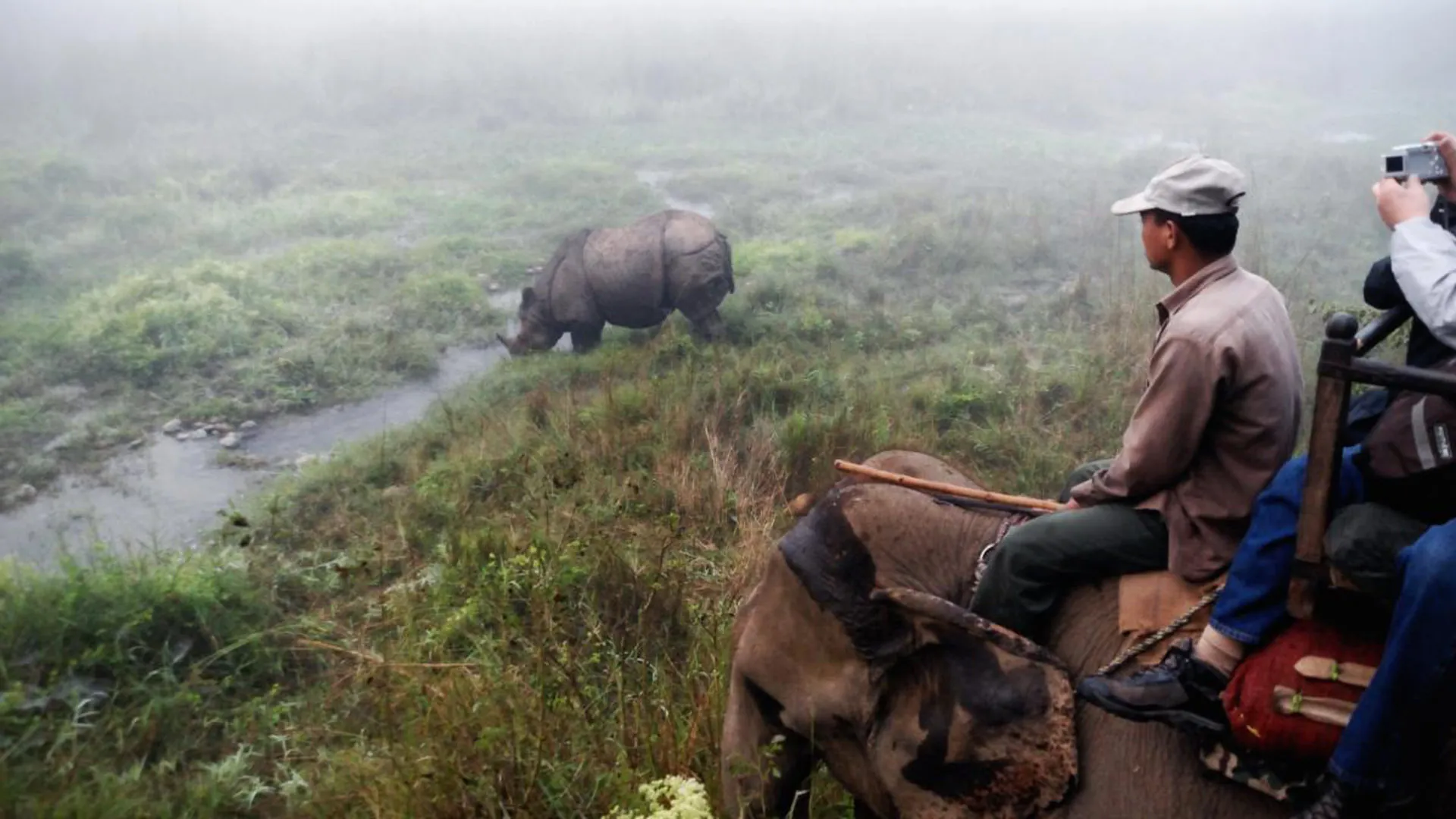 Parque Nacional de Chitwan