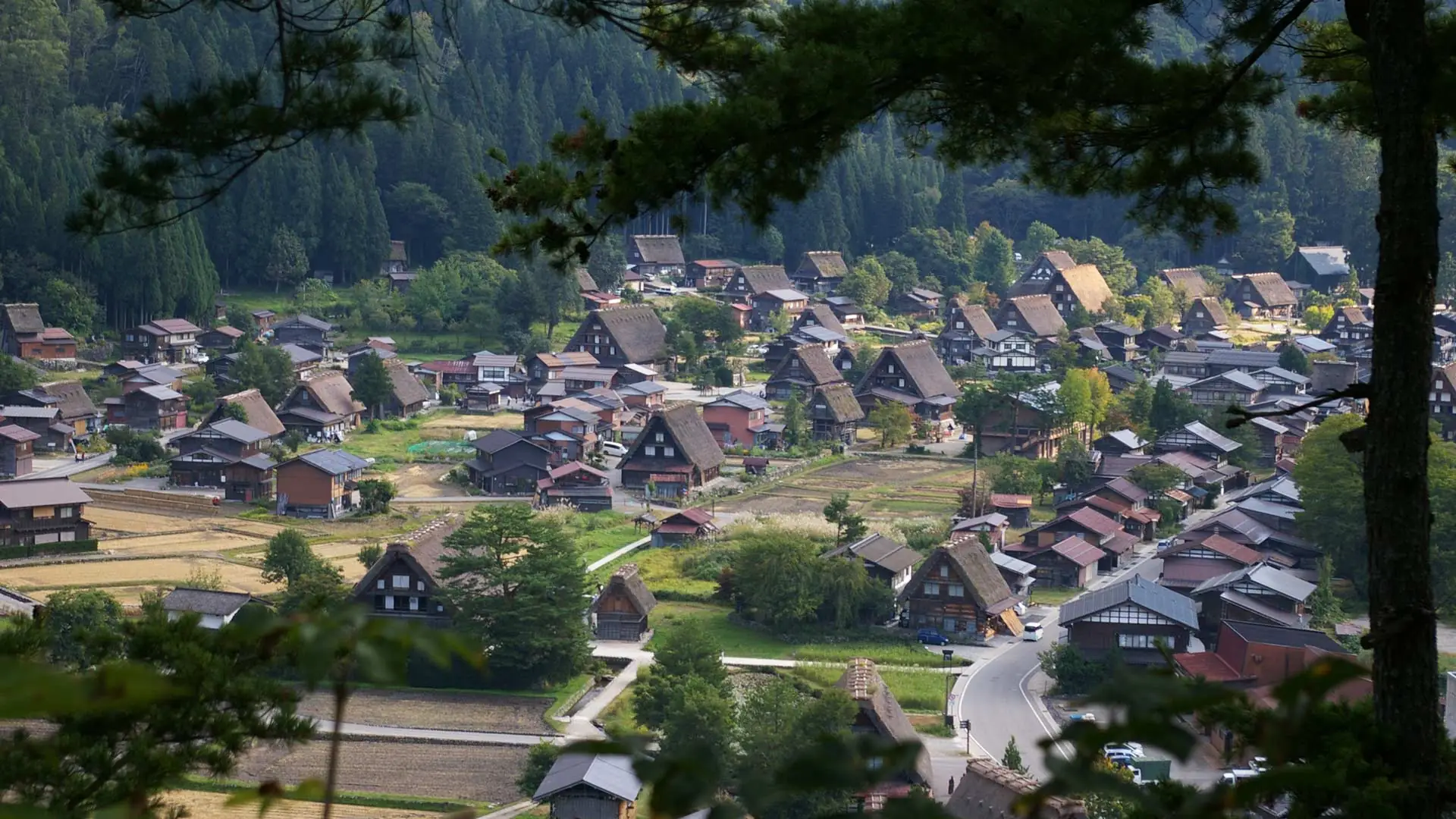 Shirakawago