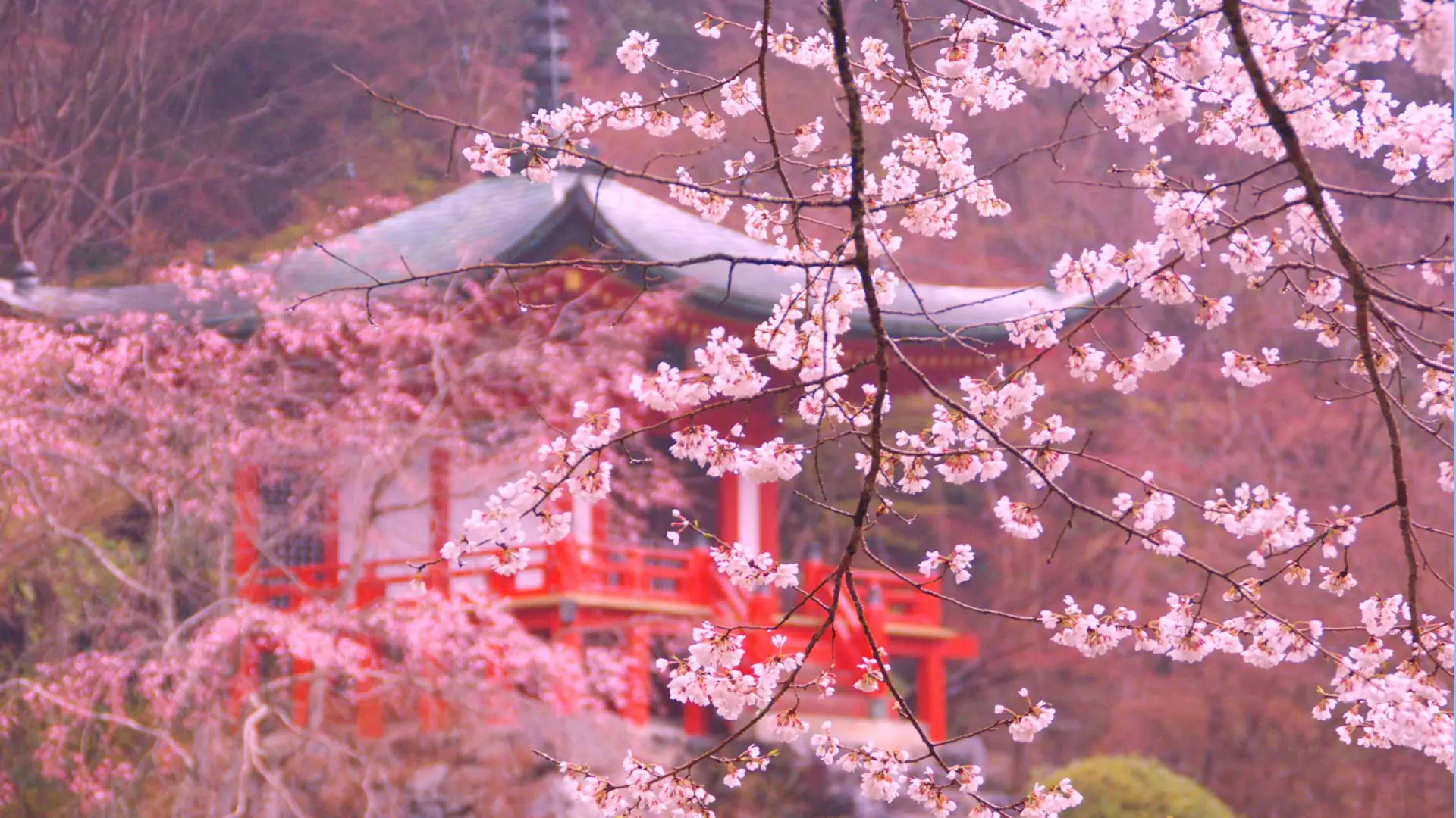 Templo Daigo-ji, Kioto