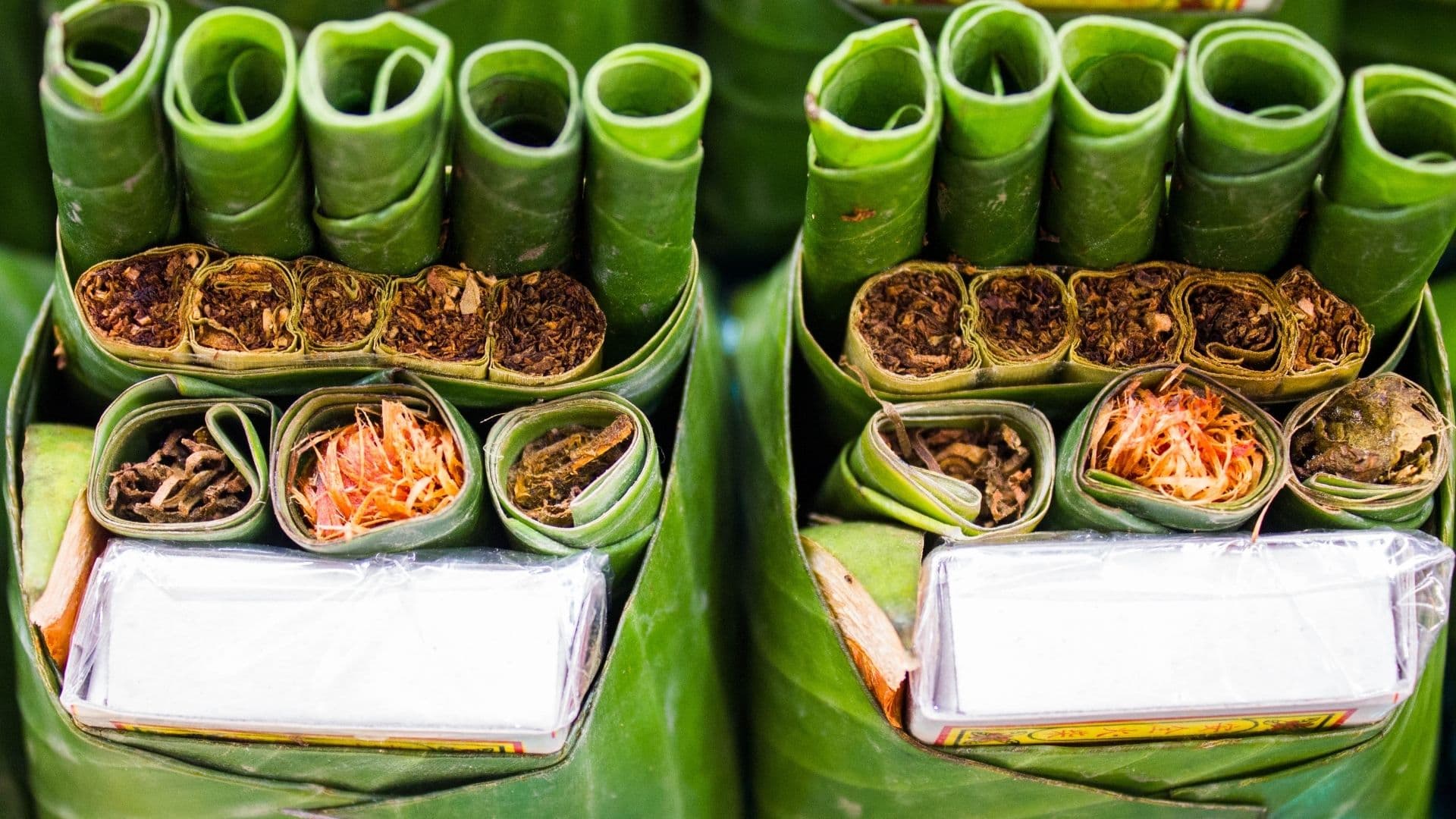 betel o tabaco de Myanmar