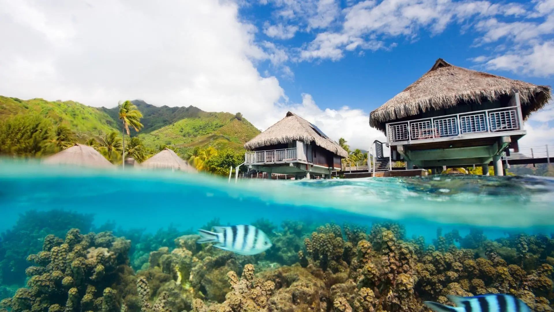 Moorea y Bora Bora son consideradas las islas mas románticas del mundo