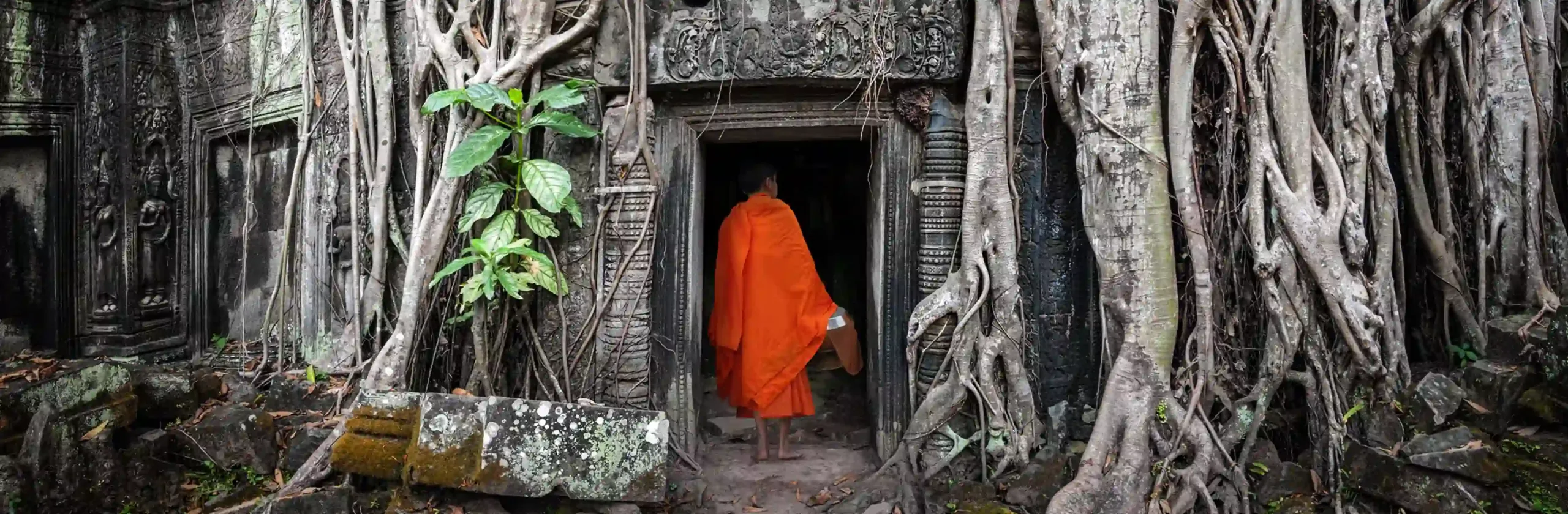 Pr Ta Prohm Dreamstime Xl