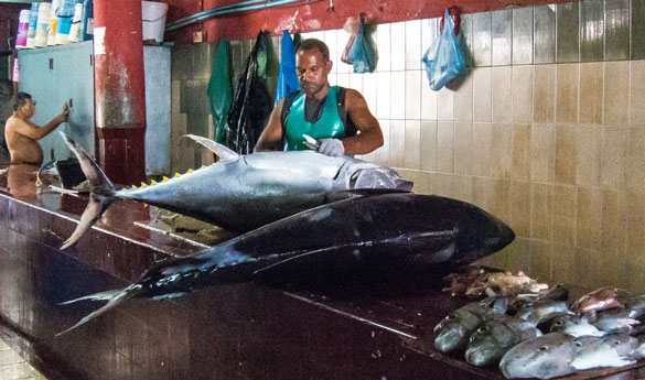 Los mercadillos de Malé en Maldivas