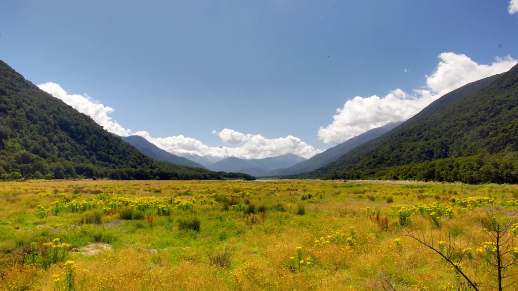 Harst Pass — Gran Tour de Nueva Zelanda Fly & Drive