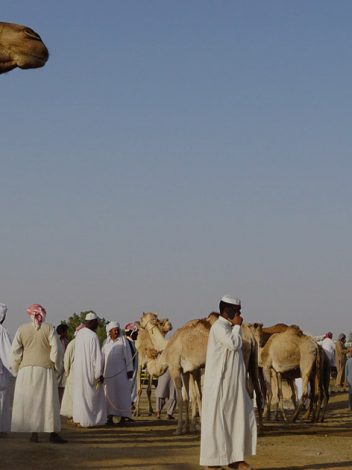 Aeom Viaje Entre Emiratos 8 Días
