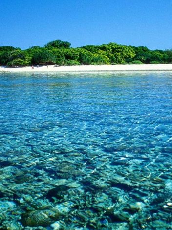Au Paisajes De Australia 15 Días