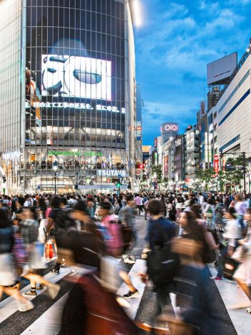 JAPÓN RASCACIELOS Y TATAMIS  - Día 10: TOKYO