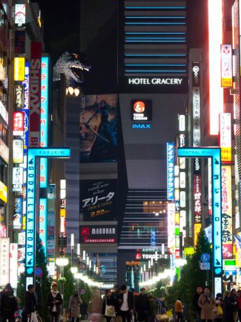 JAPÓN POR LIBRE  12 DÍAS - Día 10: TOKYO