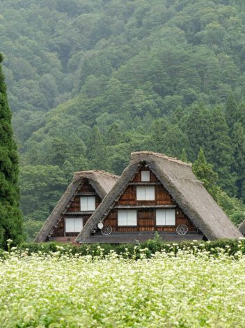 GRAN TOUR DE JAPÓN 15 DÍAS - Día 11: KANAZAWA – SHIRAKAWAGO