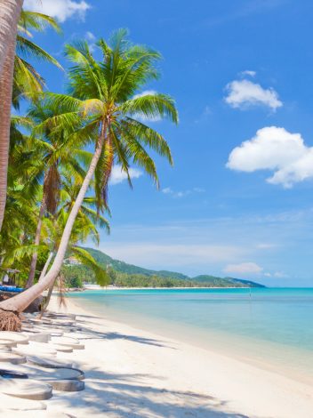 JAPÓN ETERNO Y KOH SAMUI - Día 12: KOH SAMUI