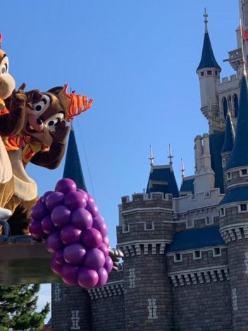 Imagenes Productos - Día 12: TOKYO (DISNEYLAND)