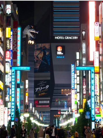 JAPÓN POR LIBRE  15 DÍAS - Día 13: TOKYO