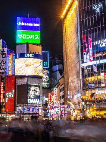 GRAN TOUR DE JAPÓN 15 DÍAS - Día 14: TOKYO