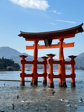 GRAN TOUR DE JAPÓN 15 DÍAS - Día 6: HIROSHIMA – MIYAJIMA