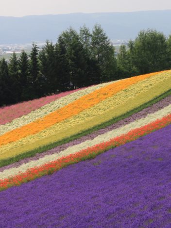 HOKKAIDO , LA GRAN ISLA DEL NORTE  - Día 6: SAPPORO – BIEI