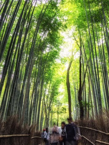 Imagenes Productos - Día 7: KYOTO