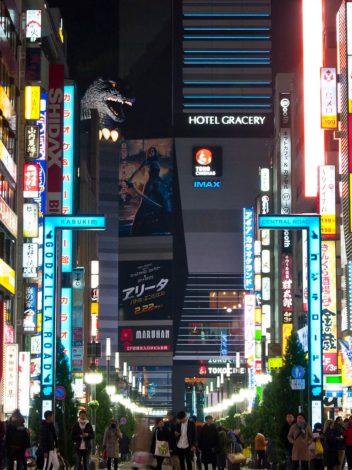 JAPÓN EXPRESS  - Día 7: TOKYO