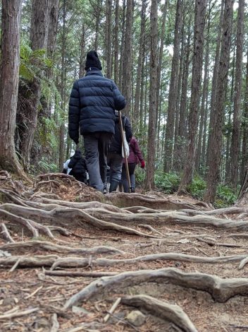 GRAN TOUR DE JAPÓN 15 DÍAS - Día 8: KOYASAN – KUMANO KODO