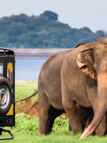 Lk Explore Sri Lanka Con Playas Nordeste 12 Días