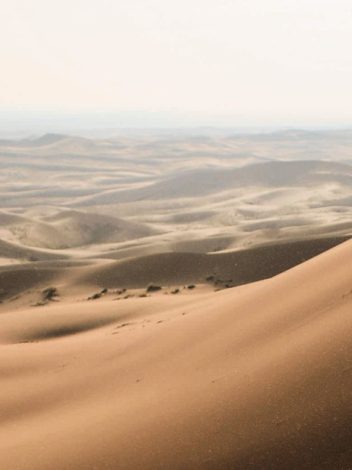 Mn Mongolia Explorar La Tierra Misteriosa 14 Días