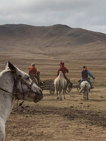 Mn Mongolia Explorar La Tierra Misteriosa 14 Días