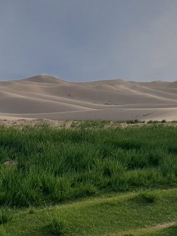 Mn Mongolia Con Festival Naadam 16 Días