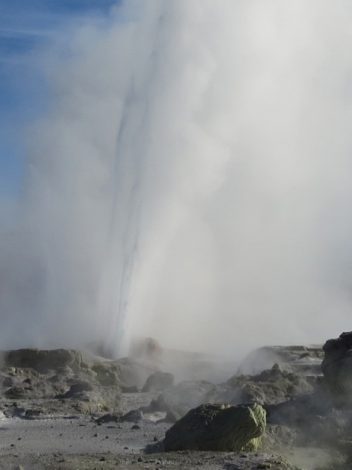 Nz Aotearoa 12 Días