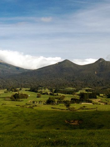Nz La Tierra Media 20 Días