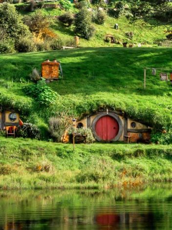 Nz La Tierra Media 20 Días