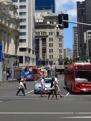 Nz La Tierra Media 20 Días