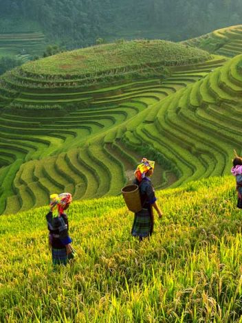Pr Sapa Dreamstime Xl