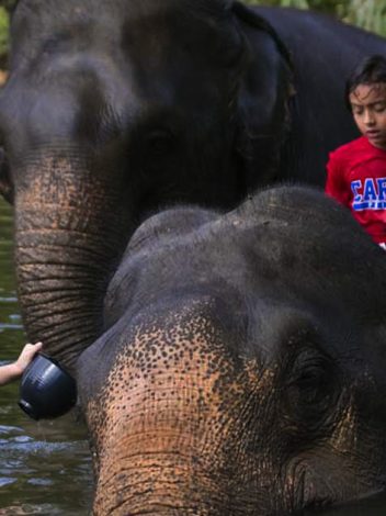 Th Tailandia En Familia Con Phuket E