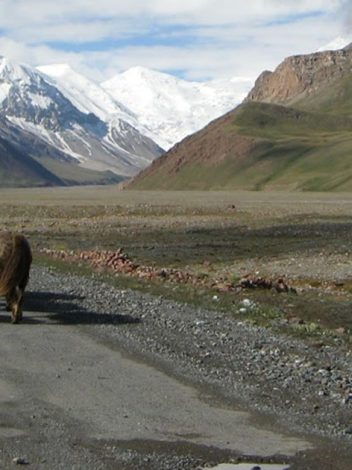 Uz La Gran Ruta De La Seda 19 Días