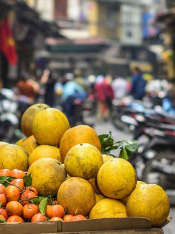 Vn Encantos De Vietnam Y Nha Trang 14 Días